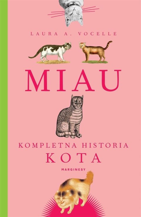 Miau. Kompletna historia kota