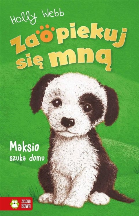 Zaopiekuj się mną. Maksio szuka domu