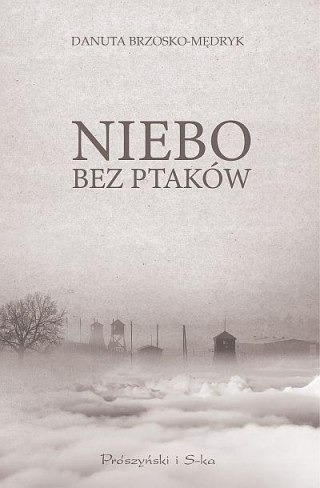 Niebo bez ptaków