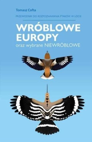 Wróblowe Europy