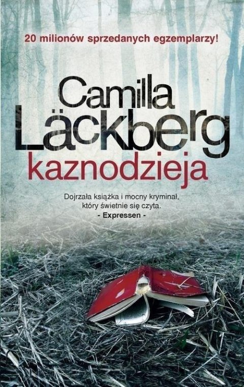 Fjallbacka T.2 Kaznodzieja w.2022 Fjallbacka T.2 Kaznodzieja w.2022