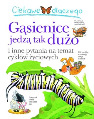 Ciekawe dlaczego gąsiennice jedzą tak dużo