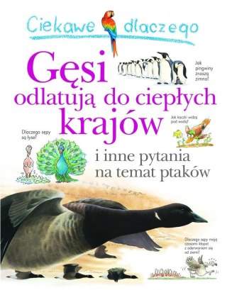 Ciekawe dlaczego gęsi odlatują do ciepłych krajów