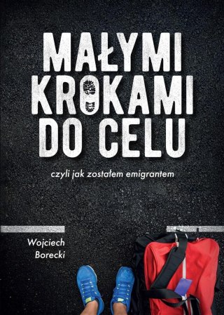 Małymi krokami do celu, czyli jak zostałem..