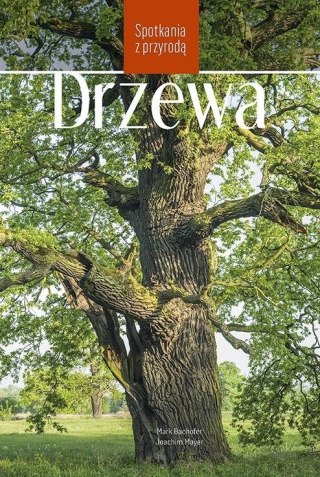 Drzewa. Spotkania z przyrodą