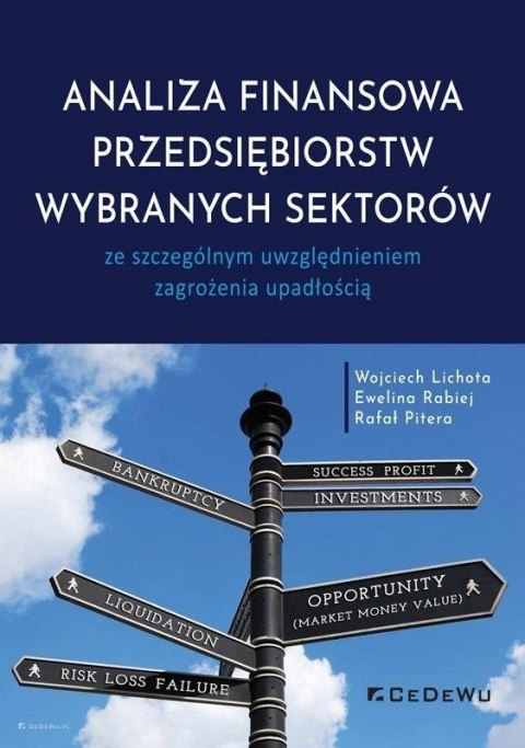 Analiza finansowa przedsiębiorstw wybranych..