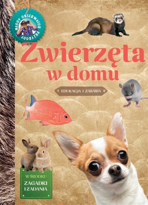 Młody Obserwator Przyrody. Zwierzęta w domu