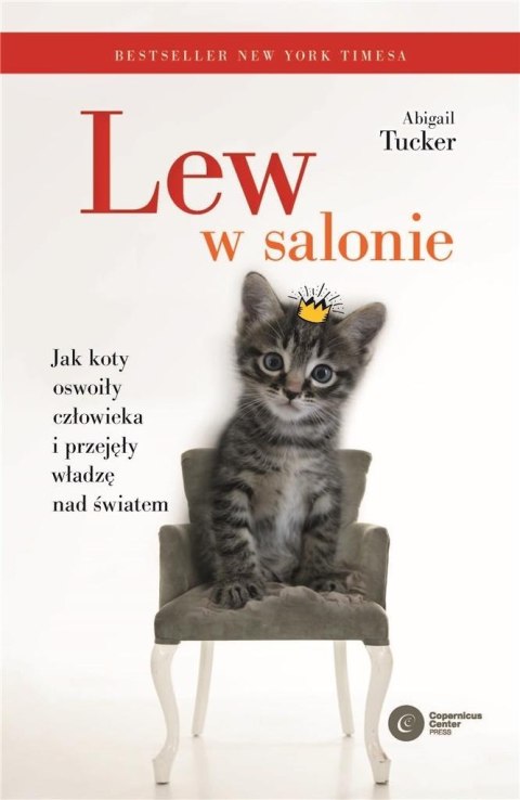 Lew w salonie