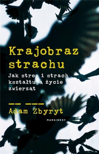 Krajobraz strachu