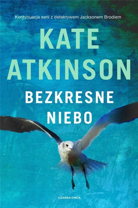 Bezkresne niebo Bezkresne niebo