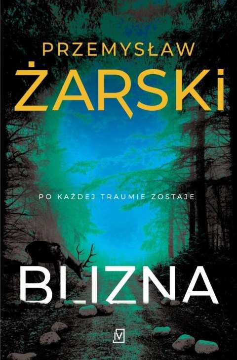 Blizna Blizna