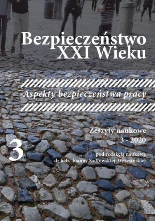 Bezpieczeństwo XXI wieku T.3