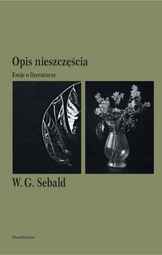 Opis nieszczęścia. Eseje o literaturze