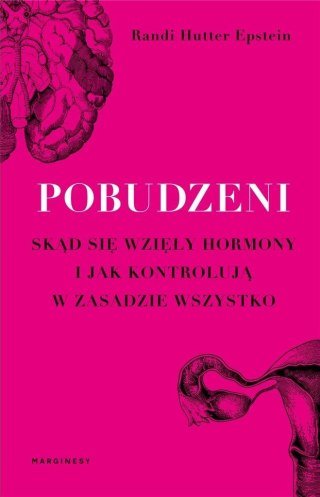 Pobudzeni