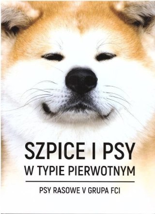 Szpice i psy w typie pierwotnym