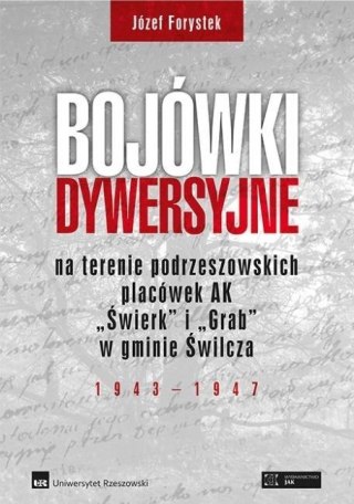 Bojówki dywersyjne BR