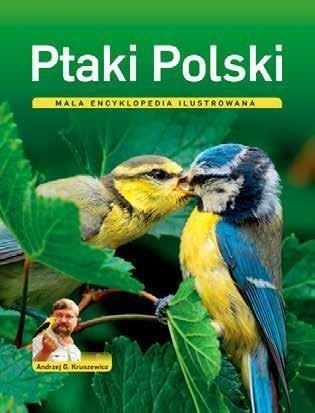 Ptaki Polski. Mała encyklopedia ilustrowana