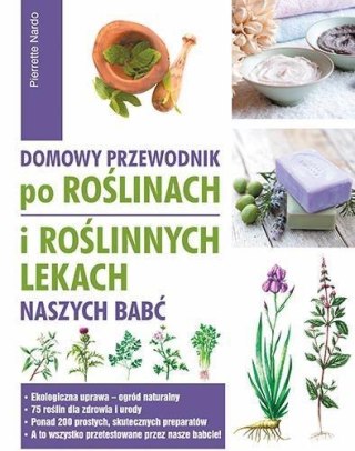 Domowy przewodnik po roślinach i po roślinnych..