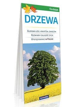 Drzewa