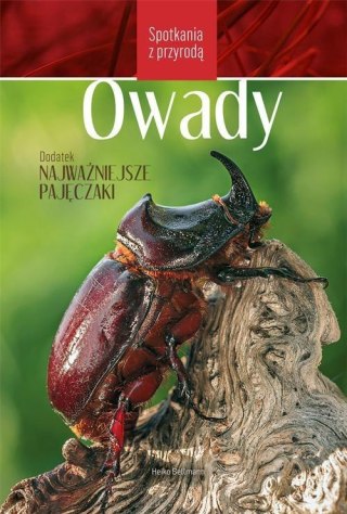 Spotkania z przyrodą. Owady