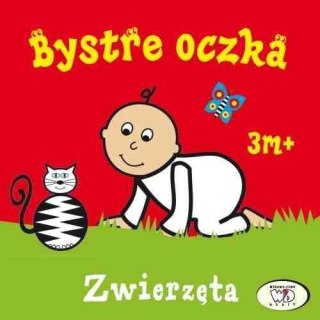 Bystre oczka. Zwierzęta