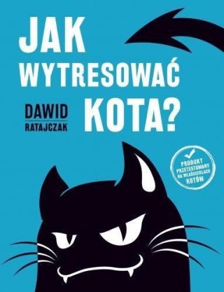 Jak wytresować kota?