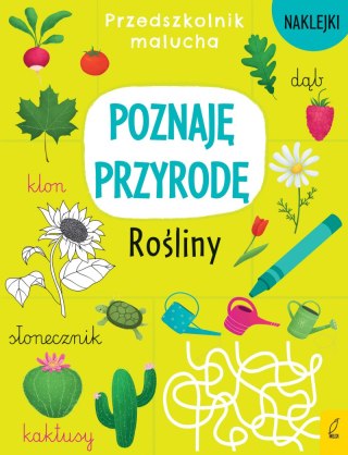 Przedszkolnik malucha. Poznaję przyrodę. Rośliny