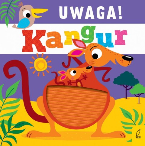 Uwaga! Kangur