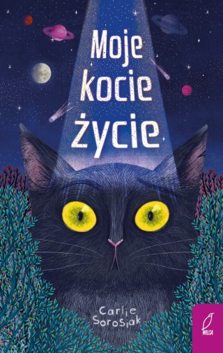 Moje kocie życie