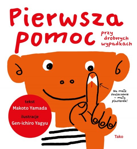 Pierwsza pomoc przy drobnych wypadkach