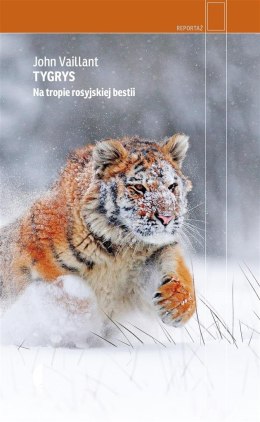 Tygrys. Na tropie rosyjskiej bestii