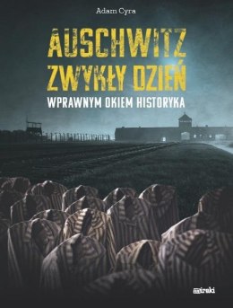Auschwitz. Zwykły dzień. Wprawnym okiem historyka