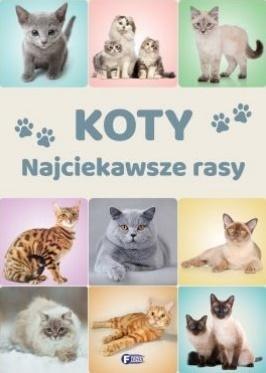 Koty. Najciekawsze rasy