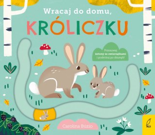 Wracaj do domu, króliczku