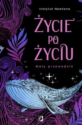 Życie po życiu. Mały przewodnik