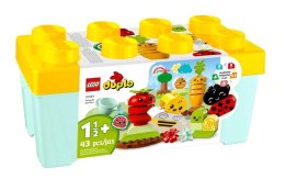 Lego DUPLO 10984 Ogród uprawowy
