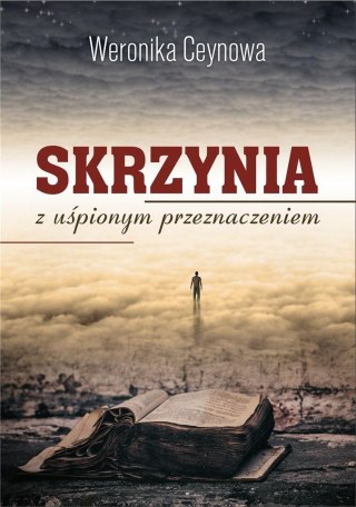 Skrzynia z uśpionym przeznaczeniem