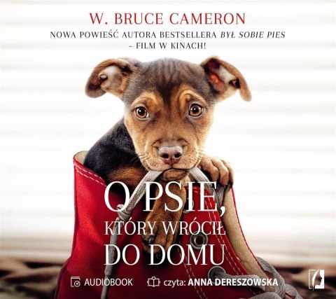 O psie, który wrócił do domu audiobook O psie, który wrócił do domu audiobook