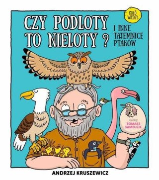 Czy podloty to nieloty. I inne tajemnice ptaków