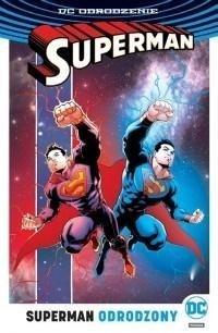 Superman. Odrodzony Superman. Odrodzony