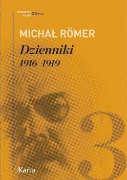 Dzienniki T.3 1916-1919 - Michał Rmer