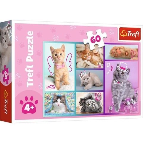Puzzle 60 Słodkie kociaki TREFL