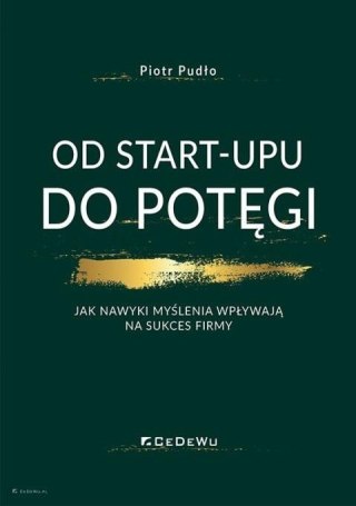 Od start-upu do potęgi