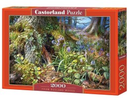 Puzzle 2000 Z lasu w Rusland CASTOR