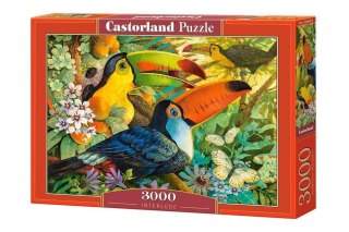 Puzzle 3000 Interlude CASTOR