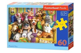 Puzzle 60 Playful Pets