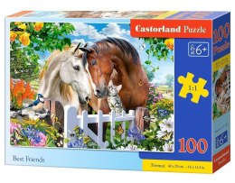 Puzzle 100 Best Friends CASTOR