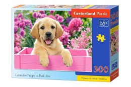 Puzzle 300 Szczenię Labrador w róż. pudle CASTOR