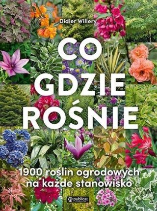 Co gdzie rośnie. 1900 roślin ogrodowych