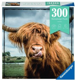 Puzzle Moment 300 Szkocka krowa